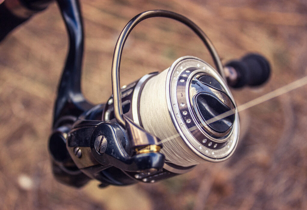 spinning reels for bass fishing