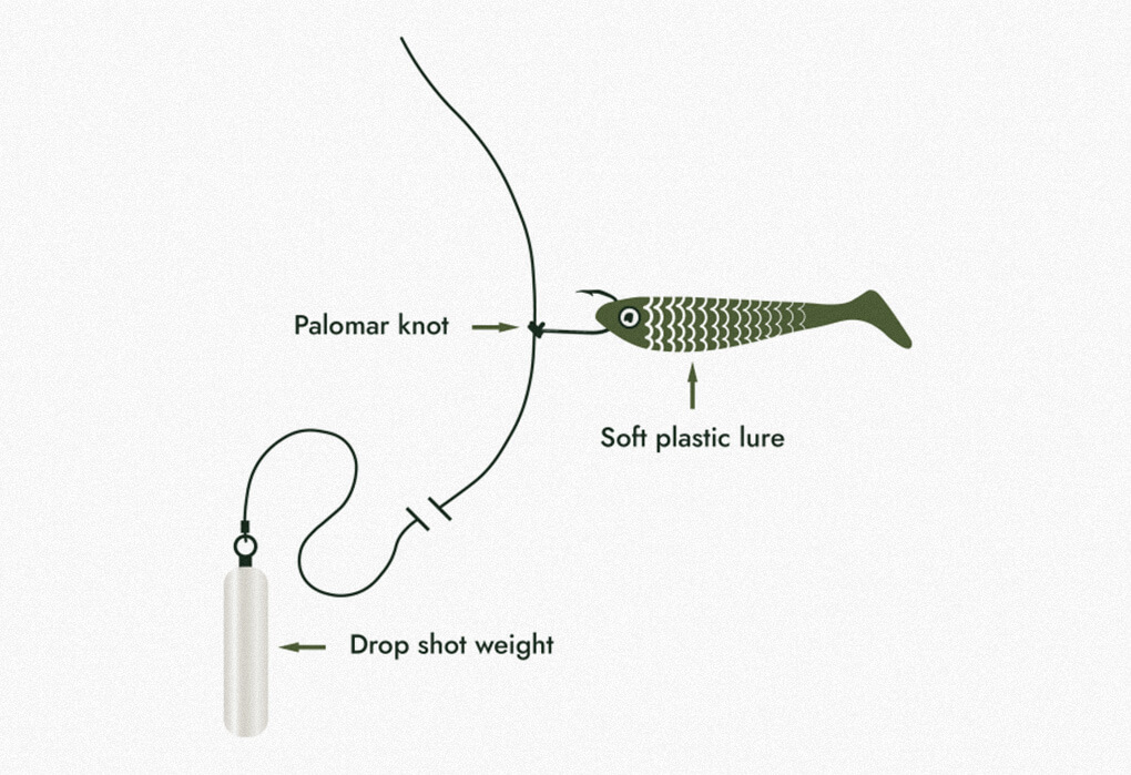 A typical drop-shot setup (illustration by YourBassGuy.com)