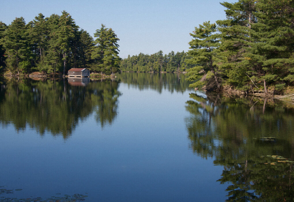 Lake Ontario - New York bass fishing lake