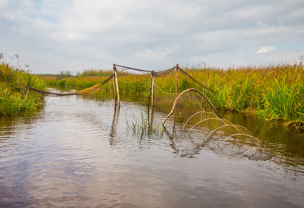hoop net fishing in South Dakota